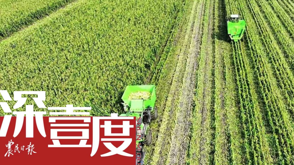 “帶地入社”——一種小農(nóng)戶(hù)有效銜接現(xiàn)代農(nóng)業(yè)的探索